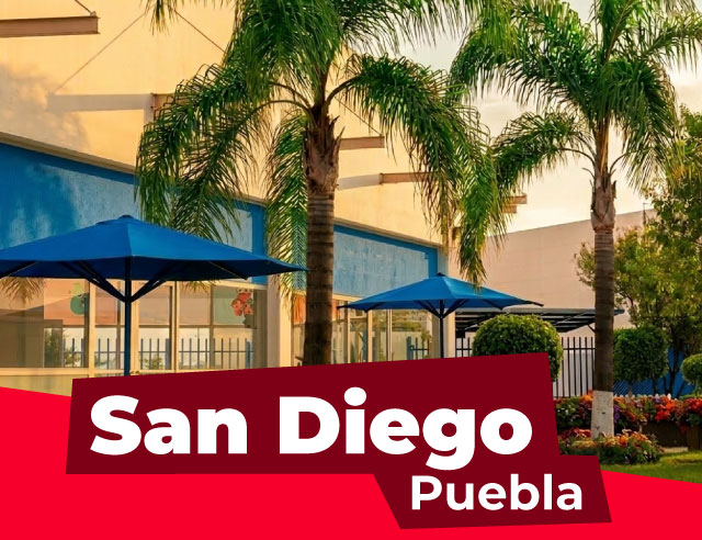 plantel altum sandiego